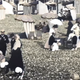 Imagen para el artículo titulado Mira cómo era un día de playa en Francia hace 120 años en este increíble vídeo restaurado